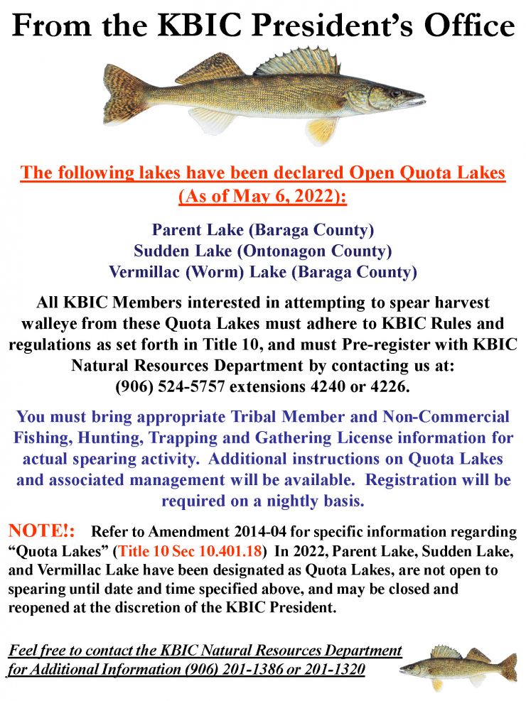 2022 Quota Lake Opening Poster Parent Sudden and Vermillac.jpg